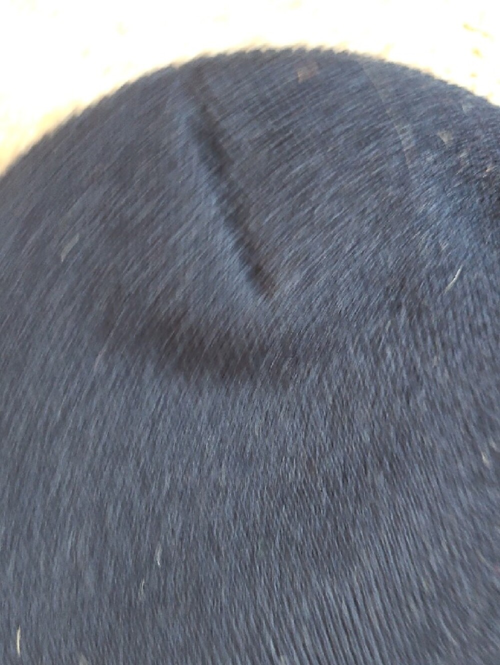Honda Size OS Black Dragon Graphic Beanie Skull Cap - Picture 5 of 5